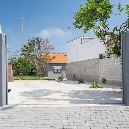 Memorias * Nogueira da Regedoura