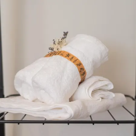 Memorias Nogueira da Regedoura