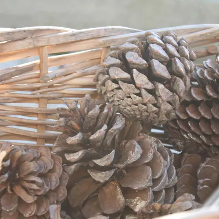 Memórias Сasa de vacaciones Nogueira da Regedoura