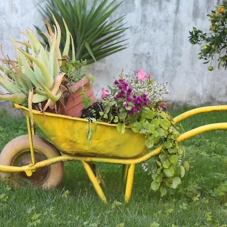 度假居 Memorias Nogueira da Regedoura