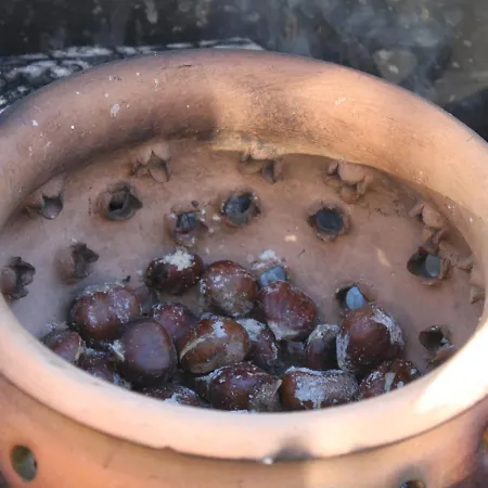 Memórias Nogueira da Regedoura