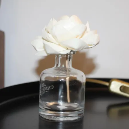 Сasa de vacaciones Memórias *