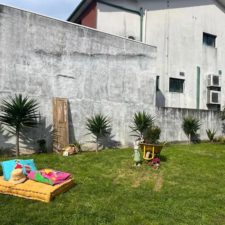 Memórias Nogueira da Regedoura