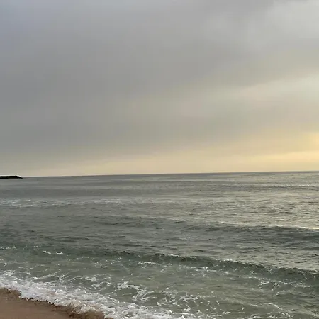 Memórias * Nogueira da Regedoura