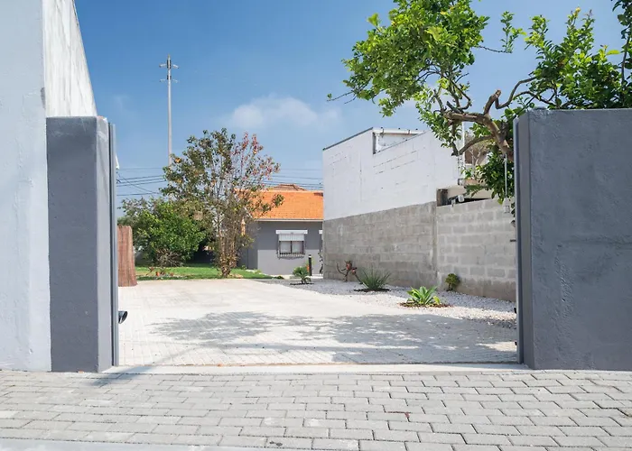 Memorias * Nogueira da Regedoura