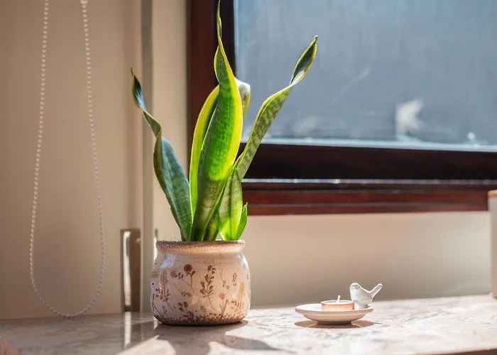 Memorias * Nogueira da Regedoura