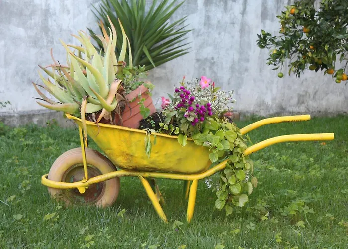 Casa de Férias Memórias Nogueira da Regedoura