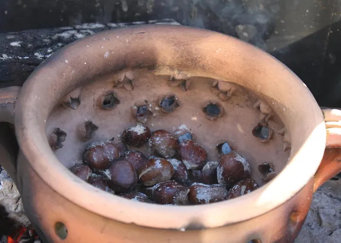 Memorias Nogueira da Regedoura