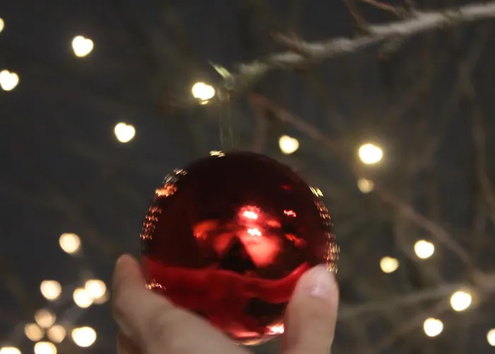 Semesterbostad Memorias Nogueira da Regedoura