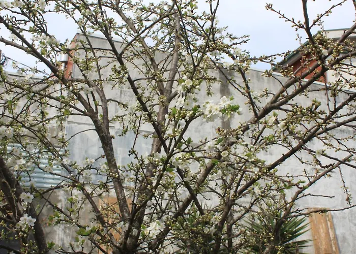 Casa de Férias Memórias Nogueira da Regedoura