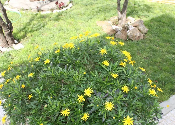 Memórias Nogueira da Regedoura