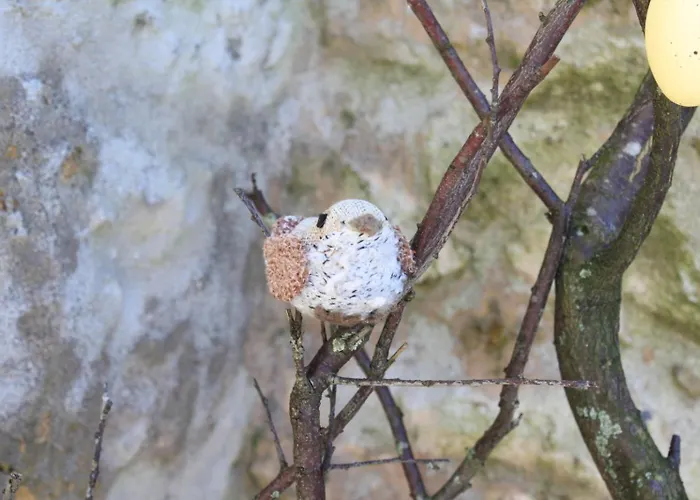 Memórias Casa de Férias Nogueira da Regedoura