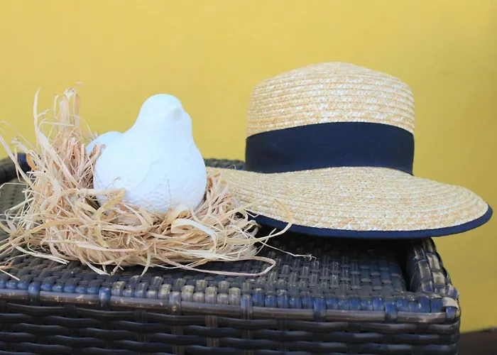 Casa de Férias Memórias Nogueira da Regedoura